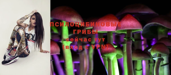 ГАЛЛЮЦИНОГЕННЫЕ ГРИБЫ Куйбышев