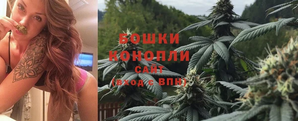 ГАЛЛЮЦИНОГЕННЫЕ ГРИБЫ Куйбышев