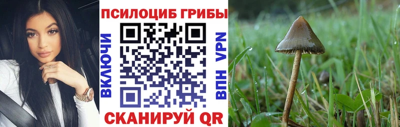 Купить закладки  Руза  Псилоцибиновые грибы Magic Shrooms 